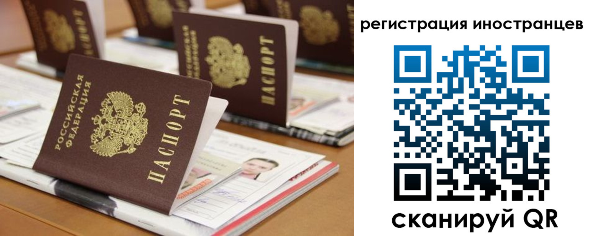 прописка для работы в Елизово